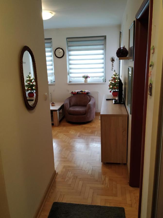 Apartment Xenia Novi Sad Esterno foto